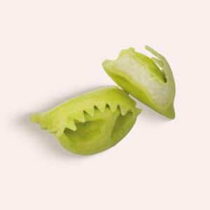 Il Plin di Robiola di Roccaverano DOP